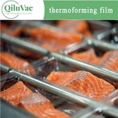 پی پی ریٹارٹ فلم